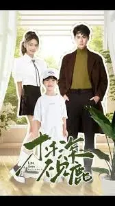 林深不见鹿：迷雾森林中的爱与救赎，一场寻觅之旅